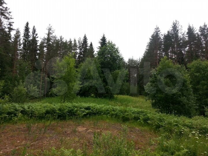 Участок 60 сот. (ИЖС)