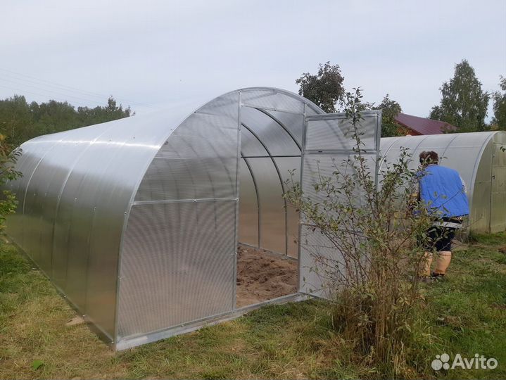 Теплица купить