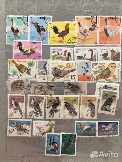 Почтовые марки