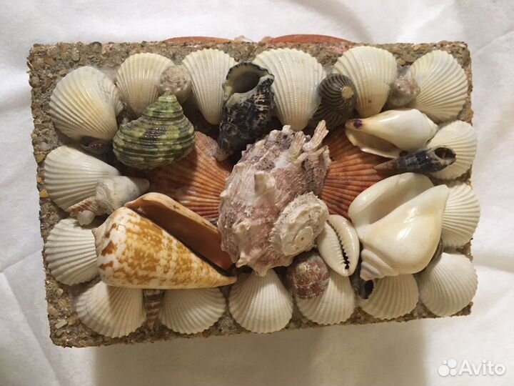Шкатулка с ракушками
