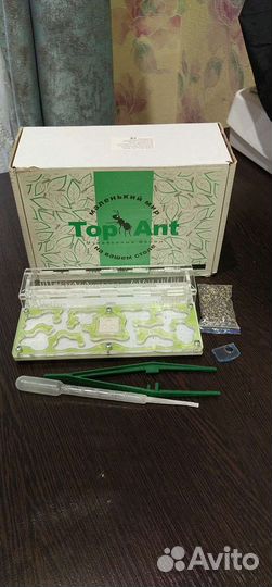 Формикарий муравьиная ферма