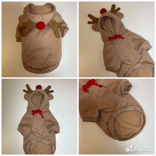 Одежда для маленьких собак