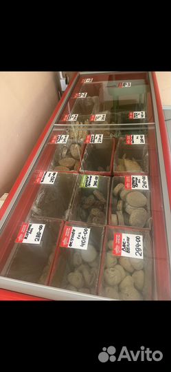 Продуктовый магазин