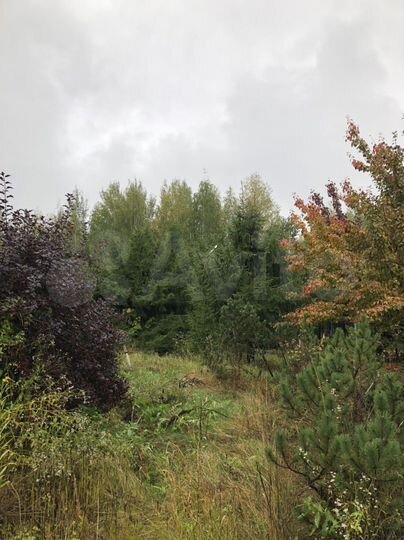 Дом 100 м² на участке 3 га