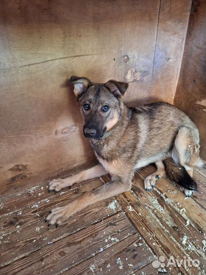 Малышка Лили нуждается в семье