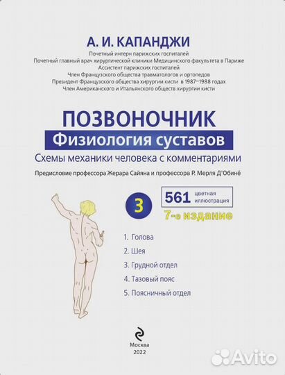 Позвоночник: Физиология суставов (обновленное изда