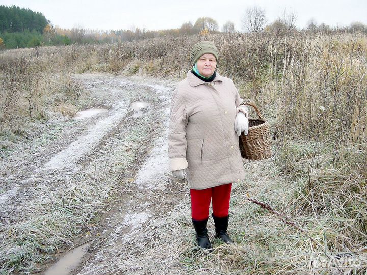 Фото камера nikon 4300