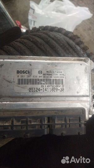 Мозги шеснарь 1.6