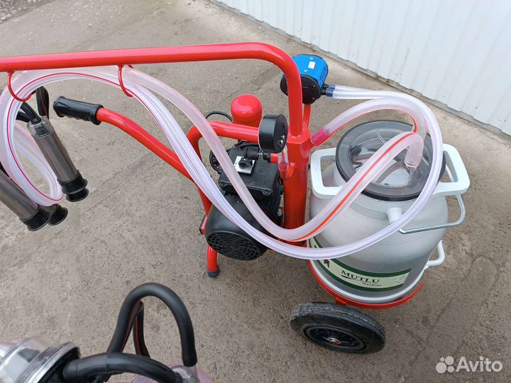 Доильный аппарат Мотлу