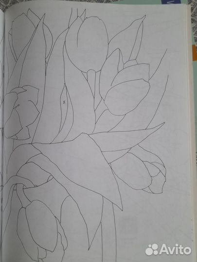 Нарисуй по схемам.Цветы.Венеция