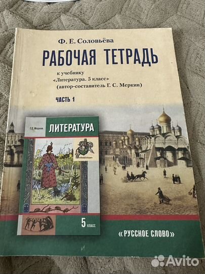 Рабочие тетради по литературе 5 класс