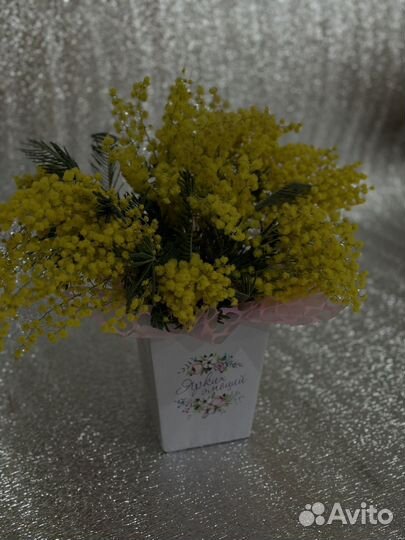 Мимоза букет розница