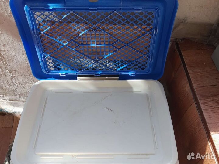 Лоток для маленьких собак