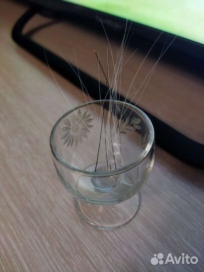 Кошачьи усы