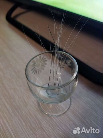 Кошачьи усы