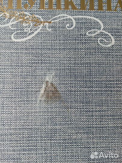 Книги Друзья Пушкина 2 тома собрание сочинений