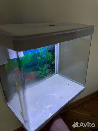 Аквариум для рыбок