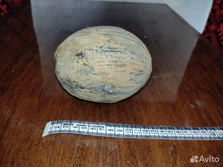 Кокосовый орех,морские ракушки