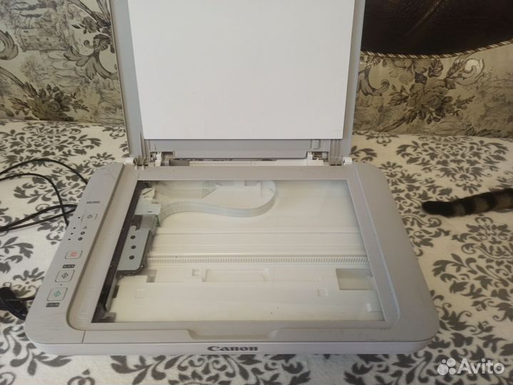 Цветной струйный мфу принтер кенон