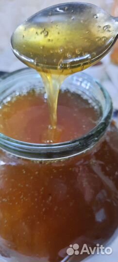 Горный мёд 2023