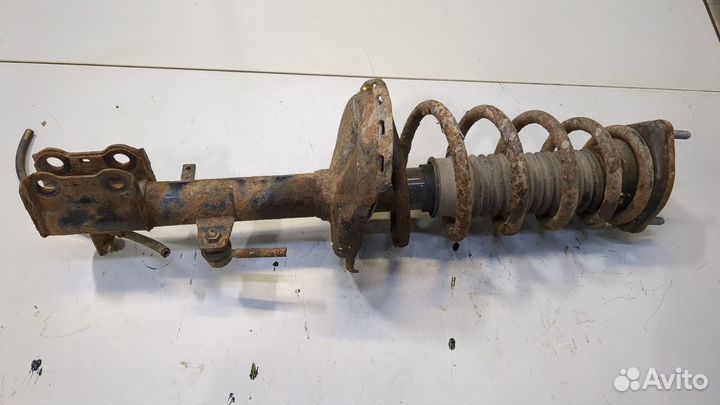 Амортизатор подвески Toyota Venza, 2009