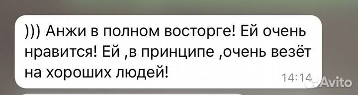 Репетитор по химии егэ огэ и биологии егэ огэ