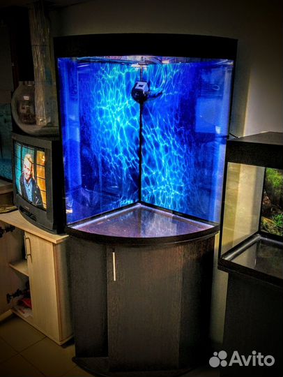 Аквариумы 10-1200л любые формы объёмы размеры