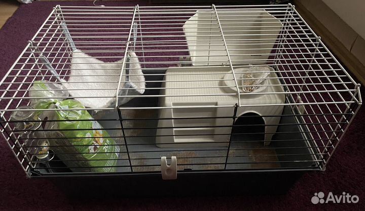 Клетка для морской свинки