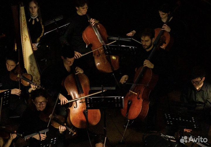 Репетитор по музыке