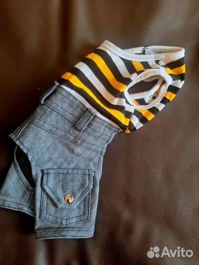 Костюм для собаки