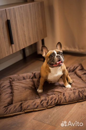 Лежанка для средних собак и мелких оптом