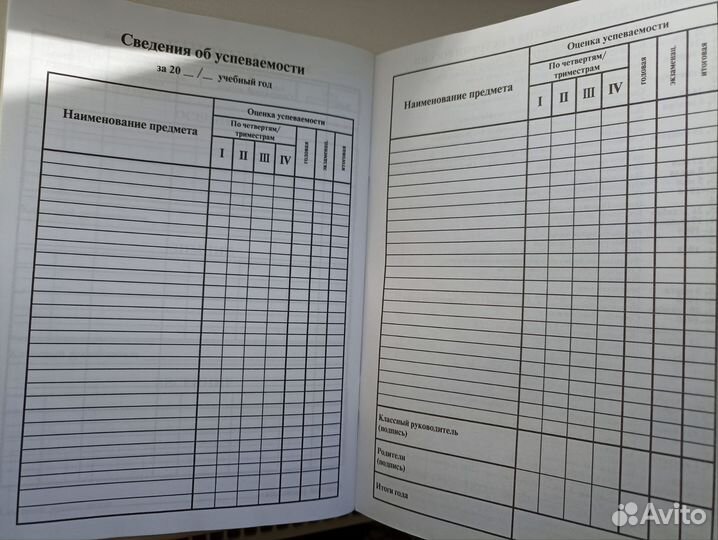 Дневник школьный