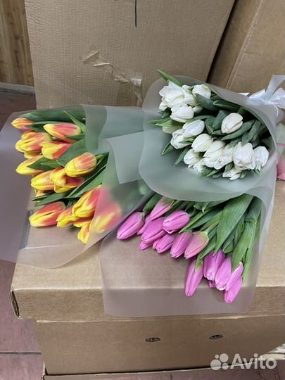 Тюльпаны Florence