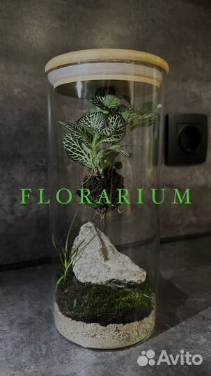 Флорариум