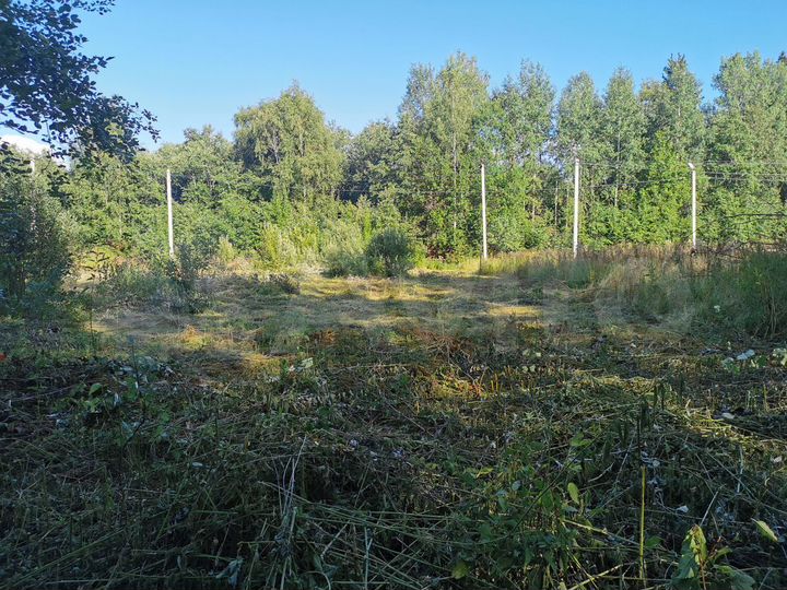 Участок 10 сот. (ИЖС)