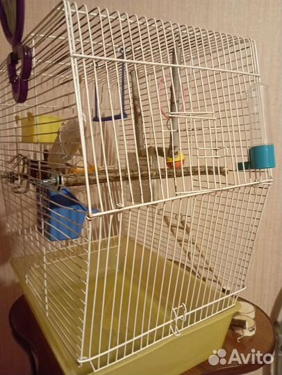 Большая клетка для птиц