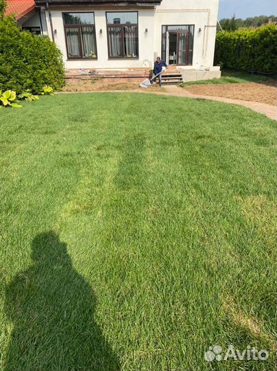Рулонный газон «Дачный»