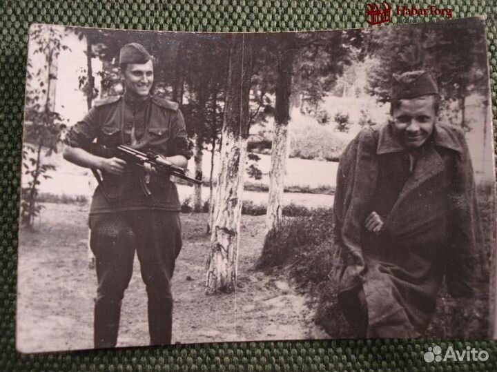 Фотографии (4 штуки) 