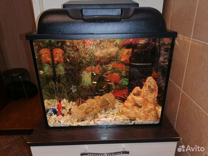 Аквариум