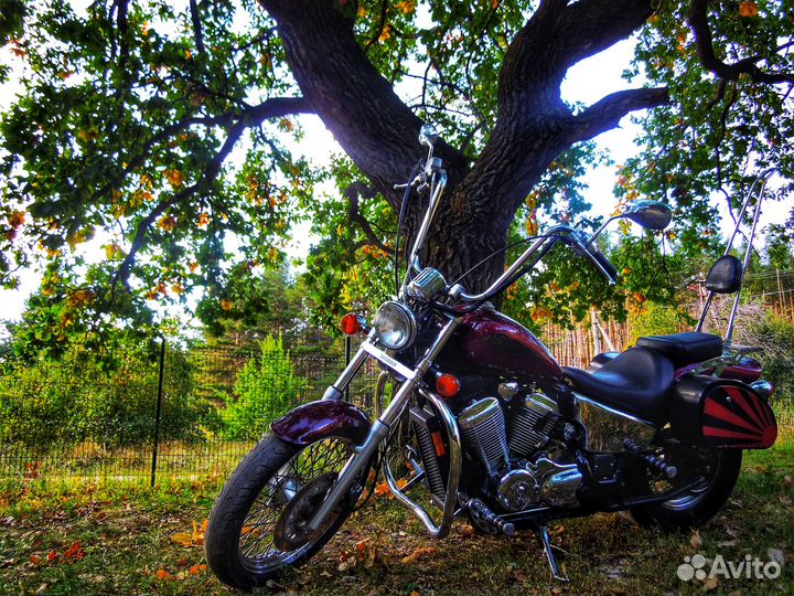 Honda VT600CD (Shadow VLX Deluxe)