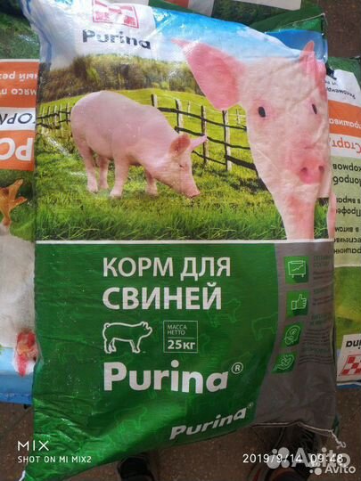 Purina комбикорм и бвмк для с/х животных и птицы