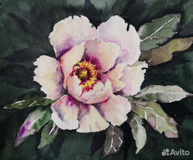 Картина акварель. Пион