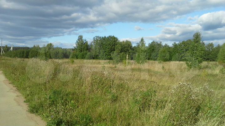 Участок 19,5 сот. (ИЖС)