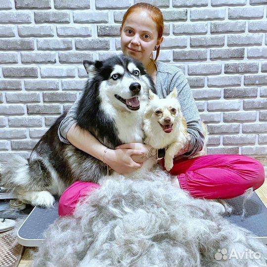 Стрижка собак