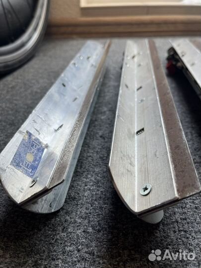 Озерные коньки