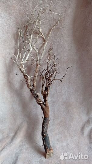 Коряги для аквариума, террариума, серпентариума