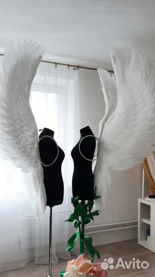 Крылья ангела