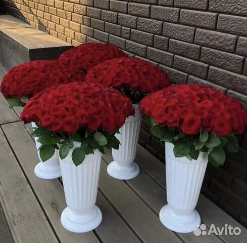 101, 51 красная роза