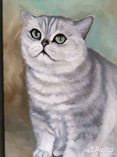 Картина маслом на холсте портрет кошки