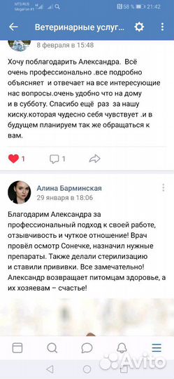 Ветеринар с выездом на дом